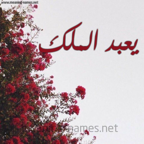 شكل 18 صوره الورد الأحمر للإسم بخط رقعة صورة اسم يعبد الملك Abdul-Malik